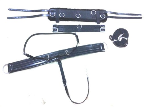 Leather Ski Harness